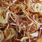 ECHALOTES LANIERE 500G