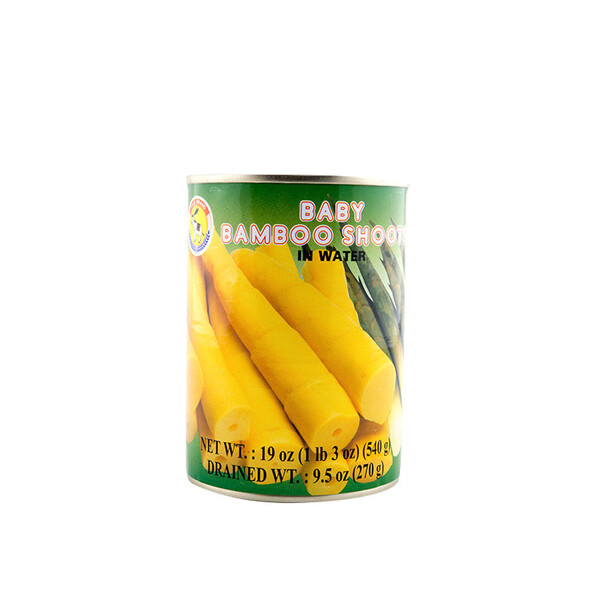 POUSSES DE BAMBOU ENTIER 540G TAS