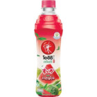 BOISSON PASTÈQUE THÉ VERT OISHI 400ML