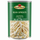 POUSSES DE SOJA NATUREL 425G ROYAL ORIENT