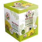 RIZ GLUANT AVEC COCO ET BANANE 80GR