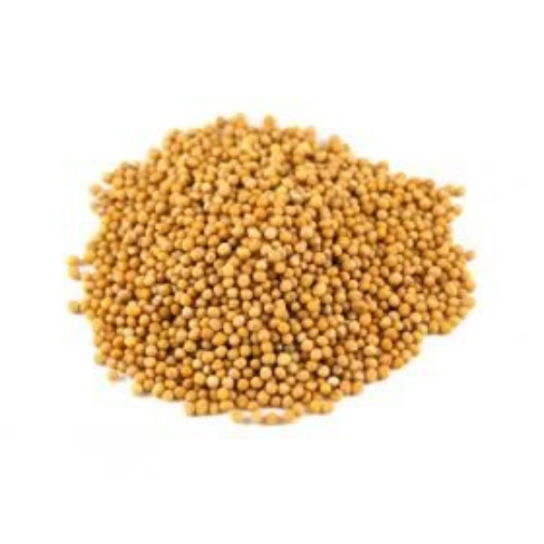 MOUTARDE JAUNE ENTIERE 100GR