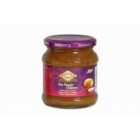 CHUTNEY EPICE A LA MANGUE HOT PATAKS 340GR