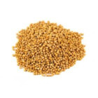 MOUTARDE JAUNE ENTIERE 1KG