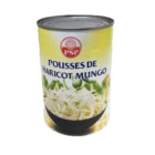 POUSSES DE HARICOT MUNGO PSP 410G