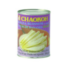 FLEUR E BANANE EN SAUMURE 510GR