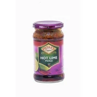 hot pickles citron pataks 283gr