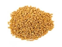 moutarde jaune entiere 1kg