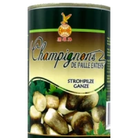 champignon de paille 425gr