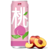jus de peche 490ml rico