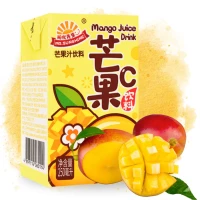 jus de mangue 250ml mr sunshine