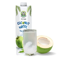 eau de noix de coco 1l double panda