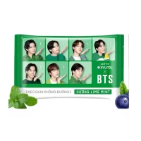 chewing-gum bts sans sucre citron & menthe 11.6gr