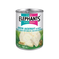 fruit de jacquier vert dans l'eau salée 540 g twin elephants