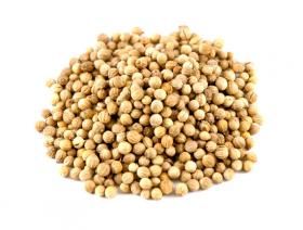 coriandre  grains entiers 50 gr