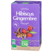 infusion hibiscus gingembre bio 20sx1.6g
