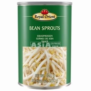 pousses de soja naturel 425g royal orient